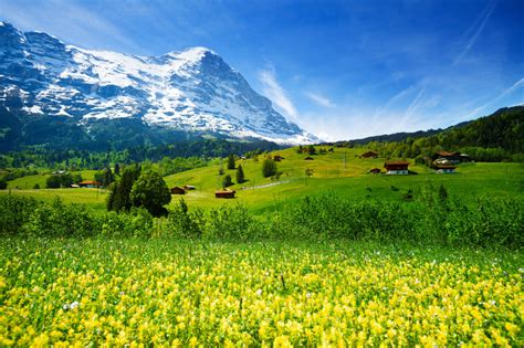 7 Essential Tips To Travel Switzerland On A Budget – InfoNewsLive