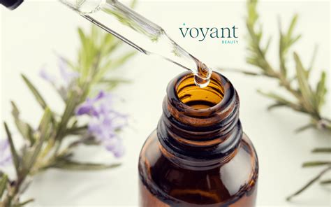 Ingredient Insight – Rosemary Essential Oil | Voyant Beauty