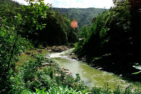 Sacred Groves: SACRED GROVES OF MEGHALAYA