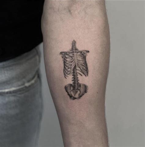 Skeleton Torso by Fernando Unda, CPH, Denmark (Iron Ink) : r/tattoos