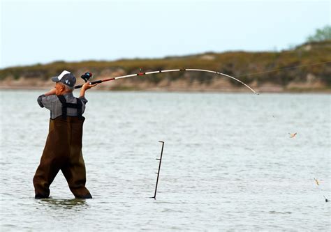 Just add water: Wildlife returns to Bahia Grande | MyRGV.com