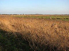 Category:Martham Broad - Wikimedia Commons