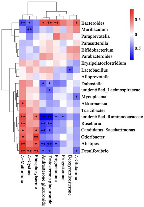 Frontiers | An insight into gut microbiota and metabolites in the mice with adenomyosis