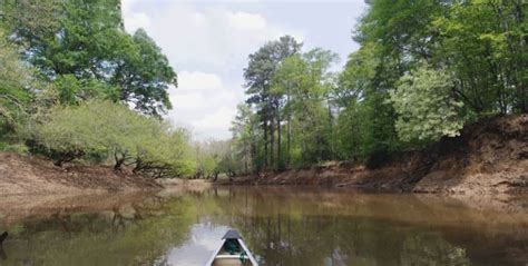 Conservationists Win Neches River Battle - The Texas Observer