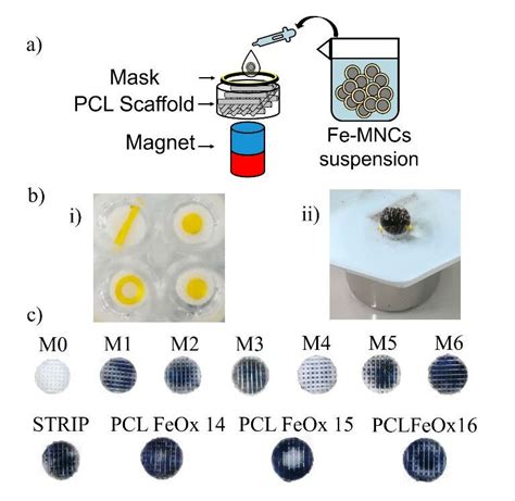 a) Magnetic scaffolds fabrication: magnetic nanocrystals (MNCs),... | Download Scientific Diagram