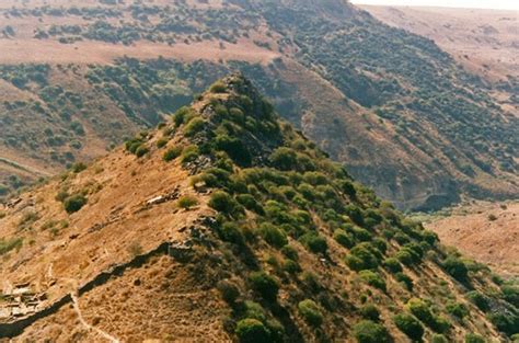 Gamla Nature Reserve , Golan Heights