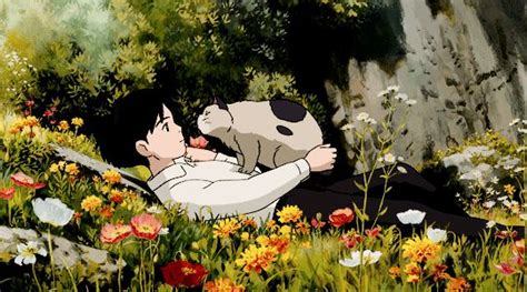 Only Cat .GIFs | Studio ghibli art, Ghibli, Ghibli art