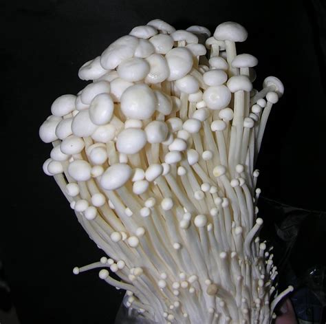 Enoki Mushrooms | Flickr - Photo Sharing!