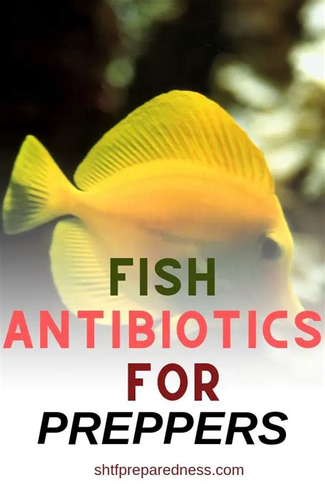 Fish Antibiotics - Would You Use Them?