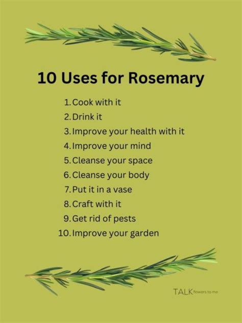 10 Great Uses for Rosemary - Talk Flowers to Me