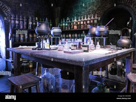 Harry Potter Potions Class from the Hogwarts School of Witchcraft and ...