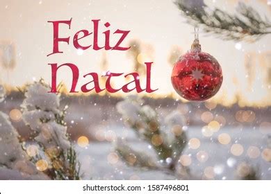 Portuguese Merry Christmas: Over 493 Royalty-Free Licensable Stock Photos | Shutterstock