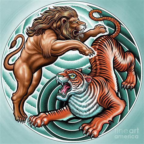 Lion Vs Tiger Fight