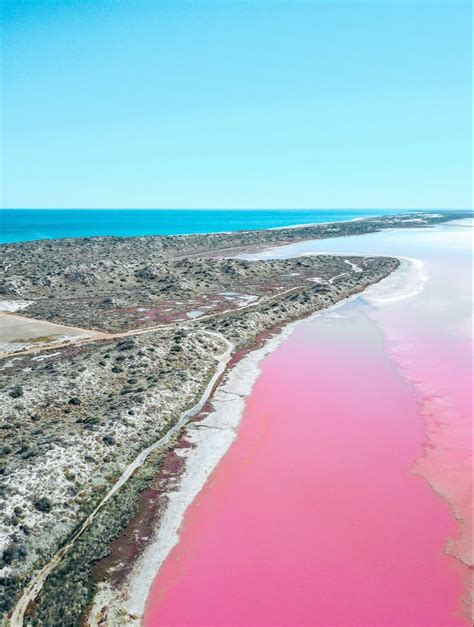 Hutt Lagoon pink lake in Western Australia | Western australia travel, Australian road trip ...