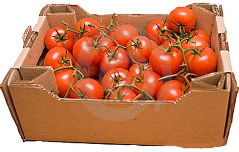 Tomato Packaging Boxes by Pooja Cartons Containers Pvt Ltd., tomato packaging boxes | ID - 2737428