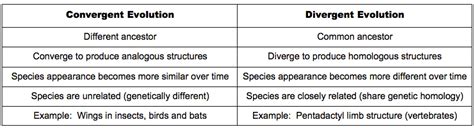 How does divergent evolution differ from convergent evolution? | Socratic