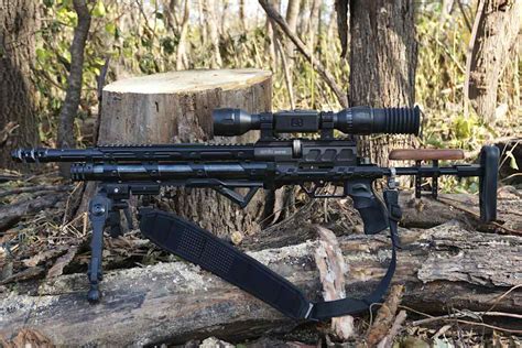 Best Airgun Rifles for Hunting Urban Predators | Grand View Outdoors