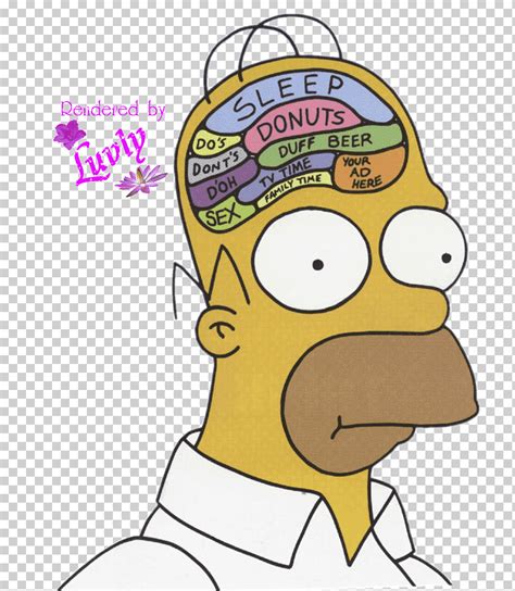 Homer simpson cerebro meme donas neuroimagen, cerebro, comida, texto ...