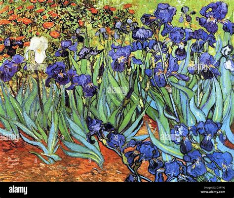 Vincent van Gogh, Irises. 1889. Post-Impressionism. Oil on canvas ...