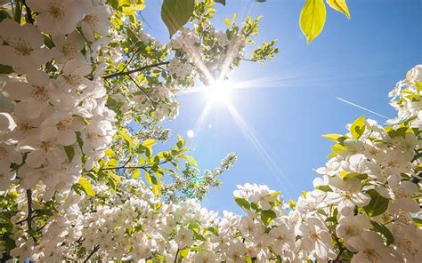 Horta do Zorate: INÍCIO DA PRIMAVERA 2017