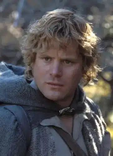 How To Dress Like Samwise Gamgee Costume Guide: Recreating The Heroic ...