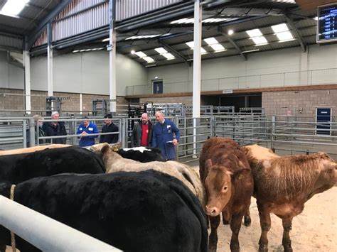 Lanark – Tuesday 1st March 2022 – March Show & Sale of Store Cattle – Lawrie & Symington