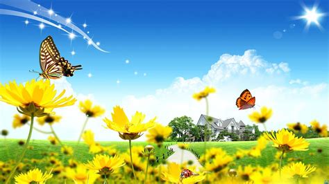 Butterfly Garden Wallpapers - Top Free Butterfly Garden Backgrounds ...