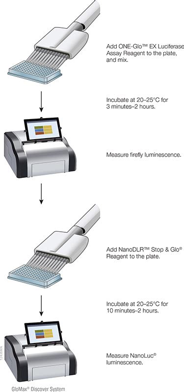 Nano-Glo® Dual-Luciferase® Reporter Assay System