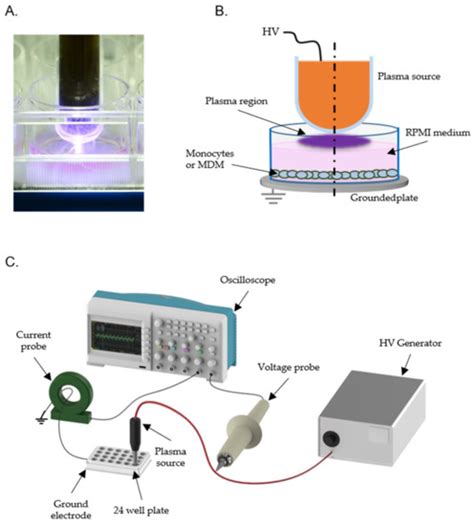 Plasma | Special Issue : Plasma Medicine