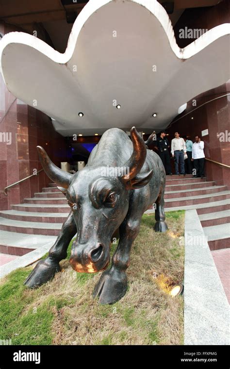 Bse Bull High Resolution Stock Photography and Images - Alamy