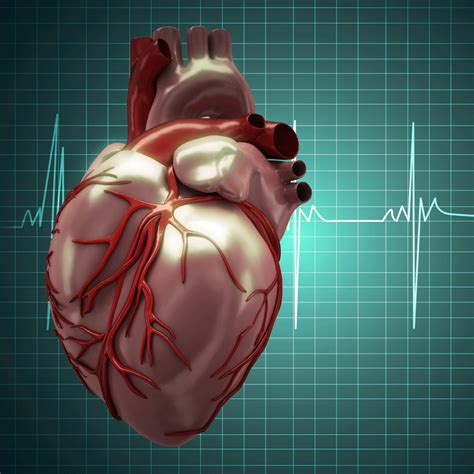 Pericytes Potential to Reverse Heart Damage | Pumping Marvellous