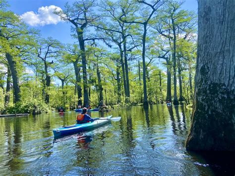 Kayaking Three Sisters Swamp on the Black River - Outdoor Adventure Sampler