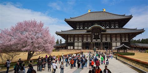 Nara Temples & Shrines: 10 amazing places you have to visit [2020 guide]