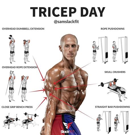 Tricep Day @Samslackfit | Workout plan gym, Weight training workouts ...