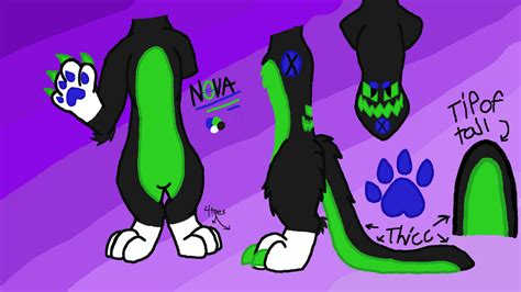 Nova's official body refrence sheet by NovatheCaMarten on DeviantArt