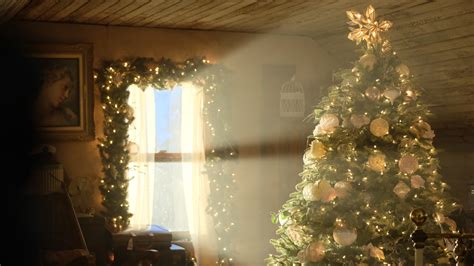 Sunlit Christmas Tree Zoom Background | Download Free Holiday Zoom ...