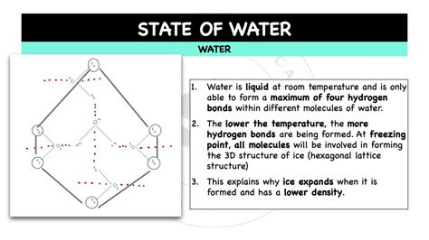 Chemical & Physical Properties Of Water – The Theoretical Doctor