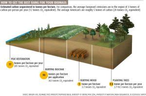 Peatland Restoration - East Africa Sisal