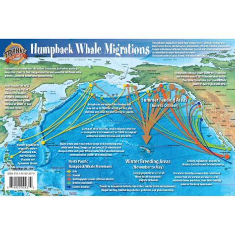 Franko Maps Pacific Humpback Whale Migration Card