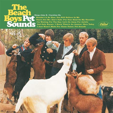 Buy The Beach Boys Pet Sounds - Vinyl album Online | Rockit Record Players