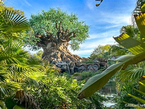 The New Amazon T-Shirt Every Disney Dad Will Be Wearing to Animal Kingdom - AllEars.Net