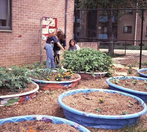 Urban Agriculture - Appropriate Technology