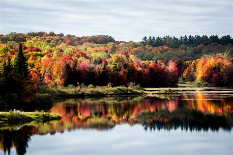 NY fall foliage 2021: Leaf peeping across the Empire State