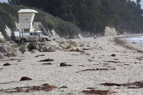 Goleta Beach Park in Goleta, CA - California Beaches