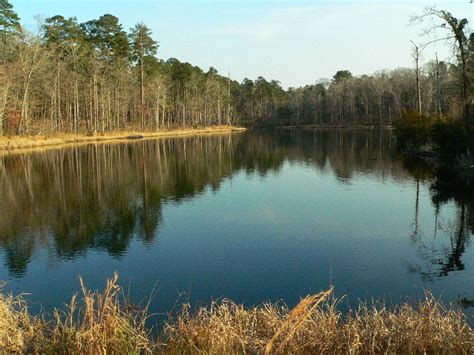 List of parks in Louisiana