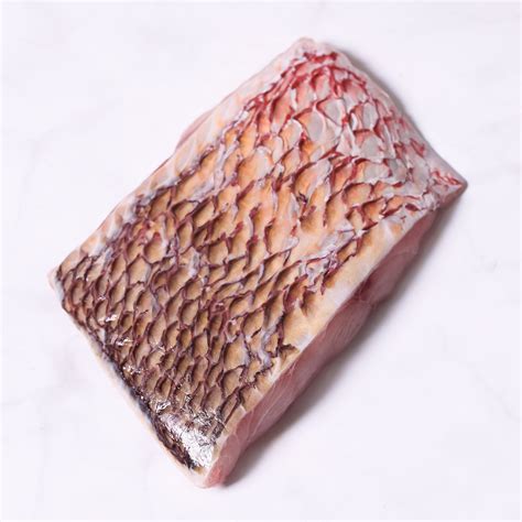 RED SNAPPER FILLET PORTION, SKIN-ON - TJJ CO. LTD