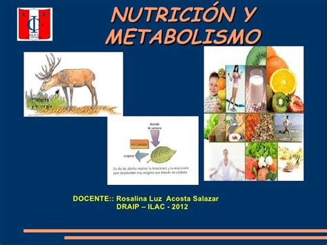 Nutrición y metabolismo