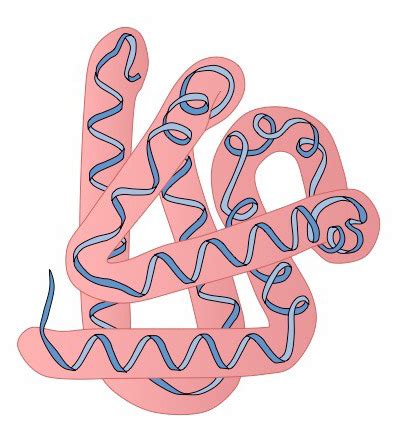 Protein Families – Proteins, Structure and Methods