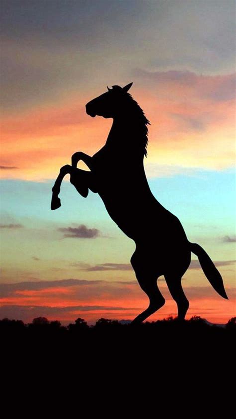 40 Amazing Silhouettes Art For Inspiration - Bored Art | Horse wallpaper, Horse silhouette ...