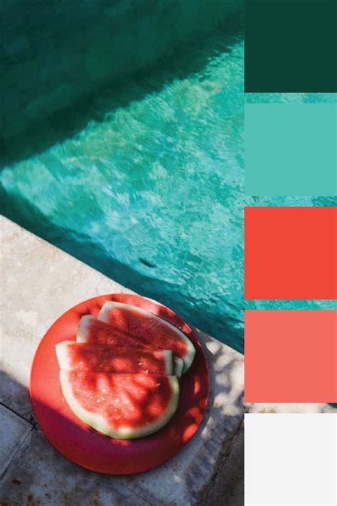 Teal & Coral Color Palette in 2023 | Coral colour palette, Red colour palette, Teal palette